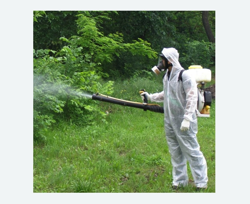 обработка территории от клещей в Оржицы