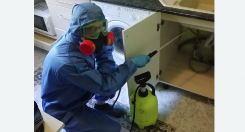 Уничтожение муравьев в квартире. Оржицы