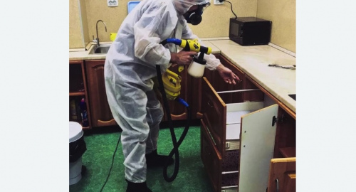 Дезинсекция квартиры. Оржицы