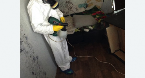 Дезинсекция помещения в Оржицы