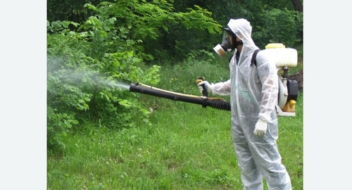 Дезинфекция территории от клещей. Оржицы