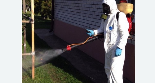 Уничтожение клещей на участке в Оржицы