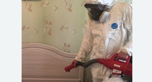 Уничтожение клещей в квартире. Оржицы