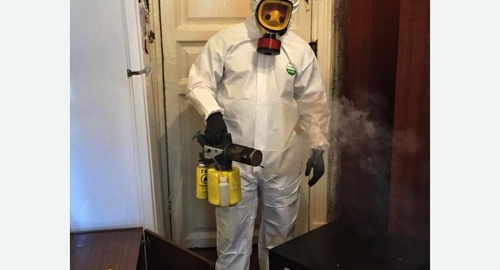 Дезинфекция от муравьев в квартире в Оржицы