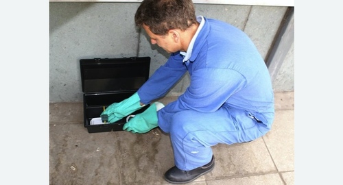 Уничтожение мышей. Оржицы