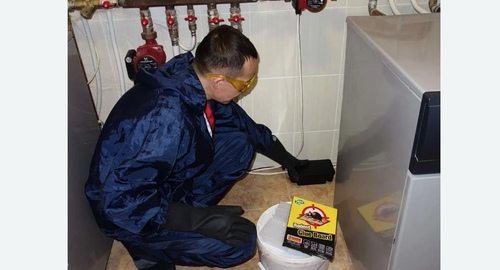 Дератизация крыс. Оржицы