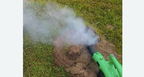 Обработка от кротов в Оржицы