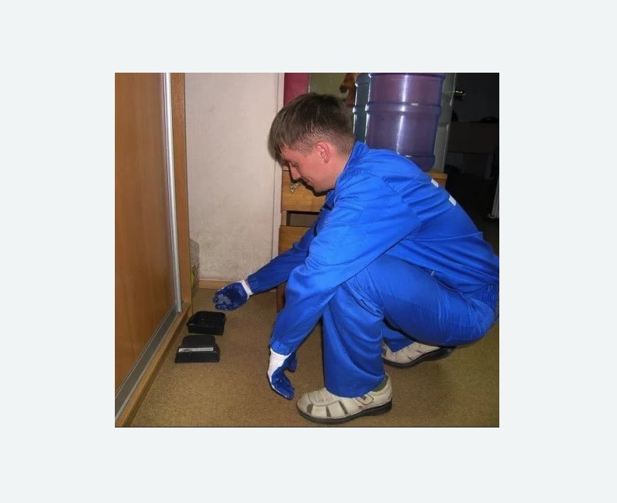 Дератизация крыс в Оржицы