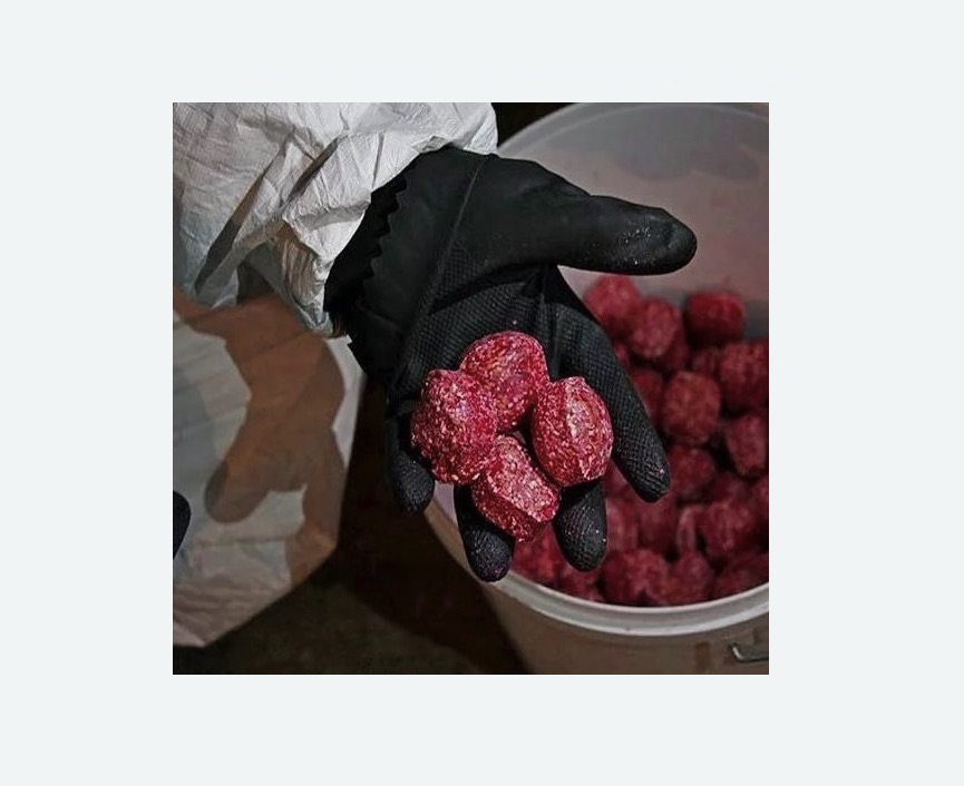 Обработка от крыс в Оржицы