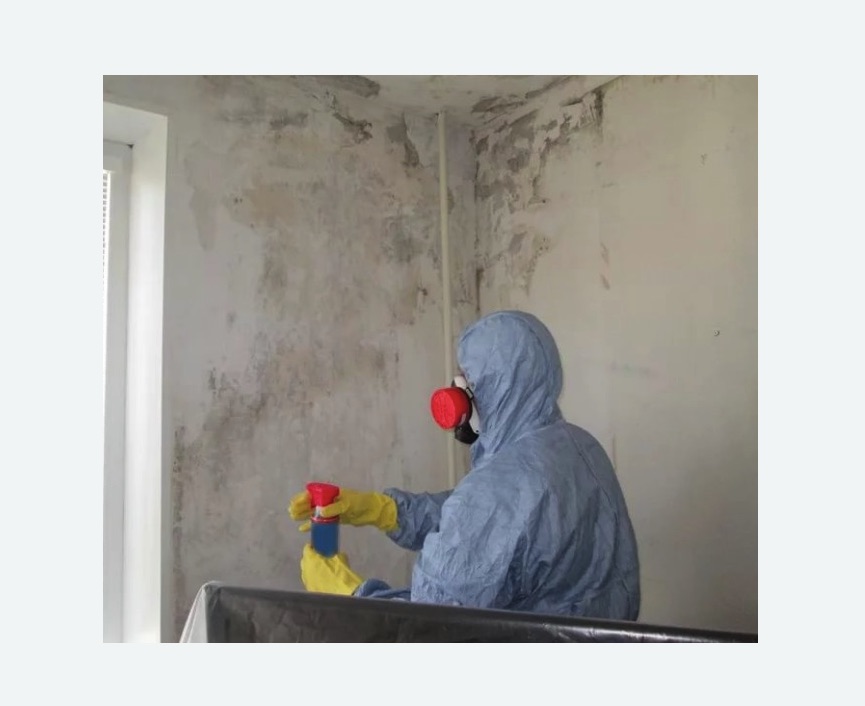 Удаление плесени в квартире в Оржицы