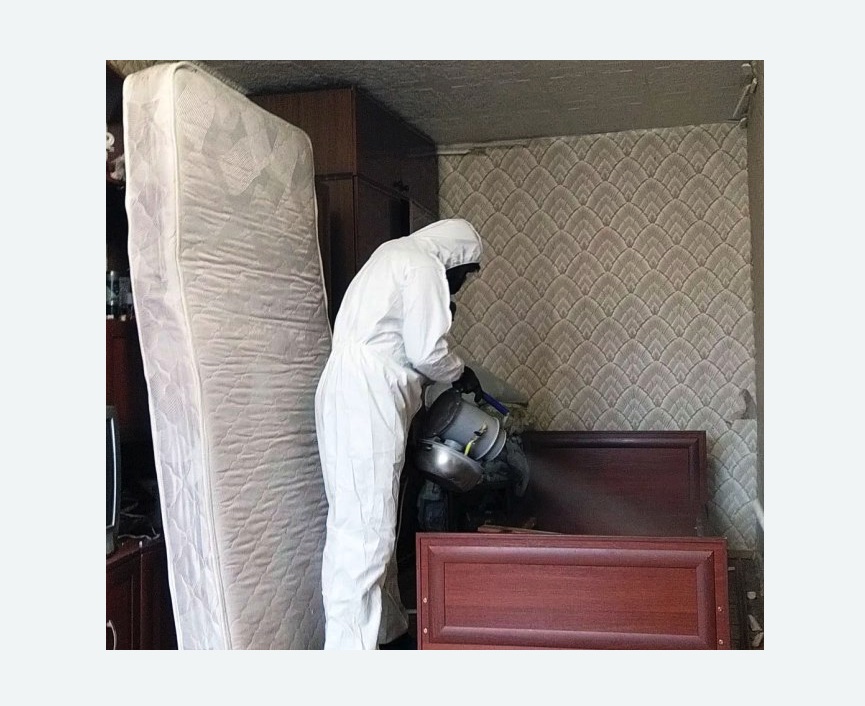 дезинфекция от клопов дезинфекция от клопов в Оржицы