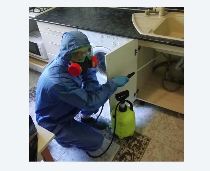 обработка от муравьев в квартире в Оржицы