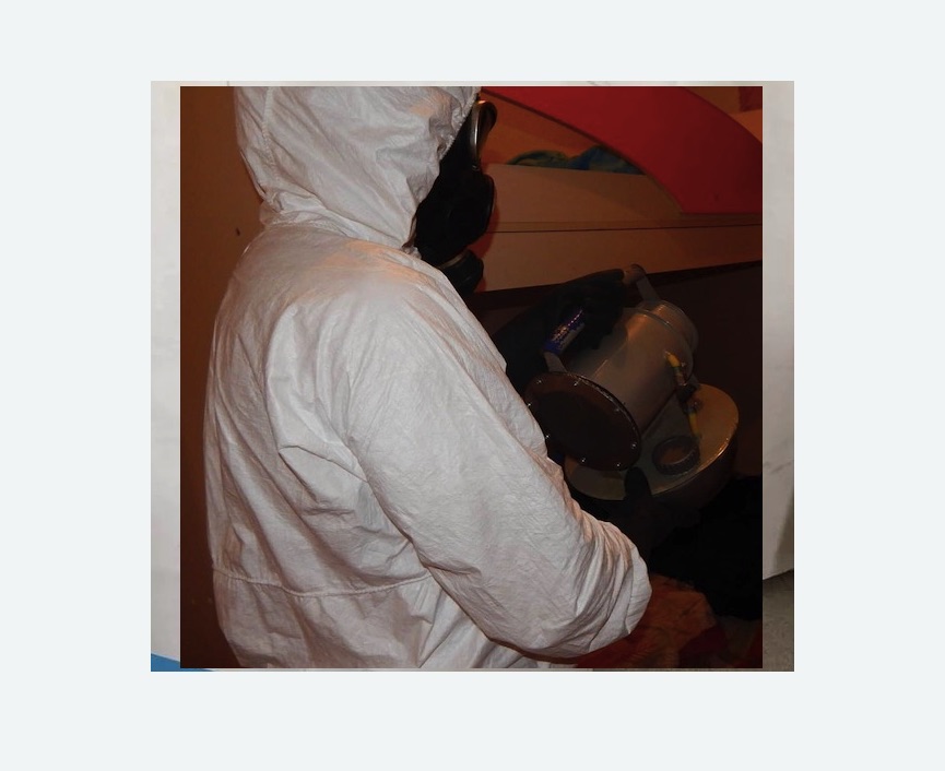 Дезинфекция от муравьев в Оржицы