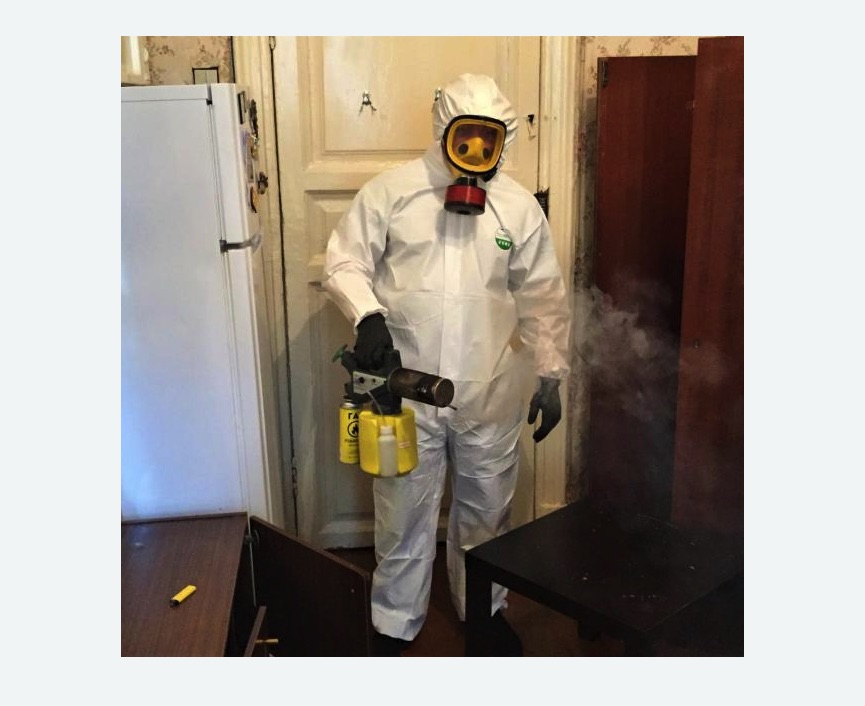 уничтожение муравьев в квартире в Оржицы